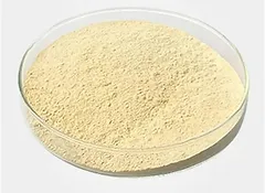 CBS Powder
